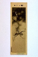 登錄號:KH2003.003.0086藏品圖，第22張