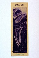 登錄號:KH2003.003.0086藏品圖，第27張