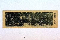 登錄號:KH2003.003.0086藏品圖，第48張