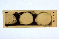 登錄號:KH2003.003.0086藏品圖，第52張