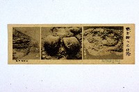 登錄號:KH2003.003.0086藏品圖，第62張