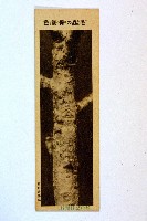 登錄號:KH2003.003.0086藏品圖，第67張