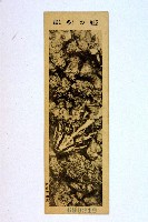 登錄號:KH2003.003.0086藏品圖，第80張