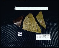 登錄號:KH2003.007.0001藏品圖，第6張