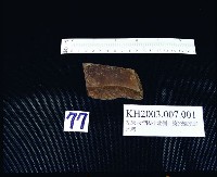 登錄號:KH2003.007.0001藏品圖，第8張