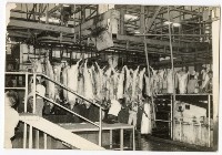 登錄號:KH2003.008.0087藏品圖，第1張