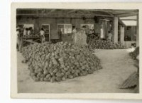 登錄號:KH2003.008.0095藏品圖，第3張