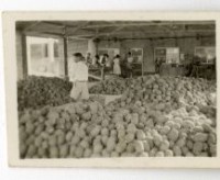 登錄號:KH2003.008.0095藏品圖，第4張