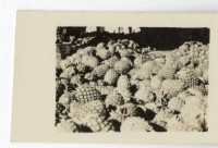 登錄號:KH2003.008.0095藏品圖，第13張