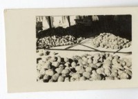 登錄號:KH2003.008.0095藏品圖，第14張