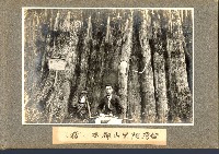 登錄號:KH2003.008.0127藏品圖，第15張