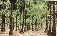 登錄號:KH2003.008.0156藏品圖，第9張