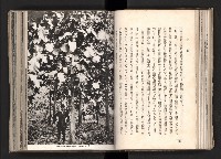 登錄號:KH2003.008.0167藏品圖，第57張