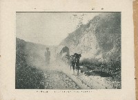 登錄號:KH2003.008.0176藏品圖，第3張