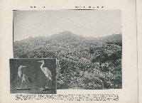 登錄號:KH2003.008.0176藏品圖，第9張