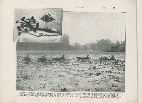 登錄號:KH2003.008.0176藏品圖，第11張