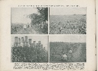 登錄號:KH2003.008.0176藏品圖，第26張