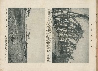 登錄號:KH2003.008.0176藏品圖，第31張