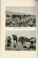 登錄號:KH2003.008.0178藏品圖，第313張