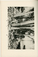 登錄號:KH2003.008.0178藏品圖，第327張