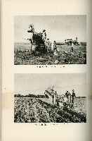 登錄號:KH2003.008.0178藏品圖，第413張