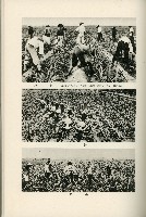 登錄號:KH2003.008.0178藏品圖，第416張