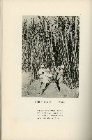 登錄號:KH2003.008.0178藏品圖，第417張