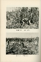 登錄號:KH2003.008.0178藏品圖，第418張