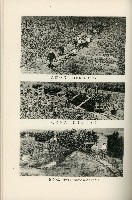 登錄號:KH2003.008.0178藏品圖，第419張