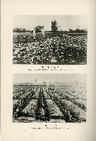 登錄號:KH2003.008.0178藏品圖，第474張