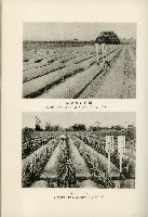 登錄號:KH2003.008.0178藏品圖，第475張