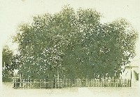 登錄號:KH2003.008.0179藏品圖，第1張