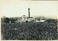 登錄號:KH2003.008.0179藏品圖，第11張