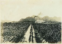 登錄號:KH2003.008.0179藏品圖，第12張