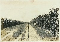 登錄號:KH2003.008.0179藏品圖，第23張