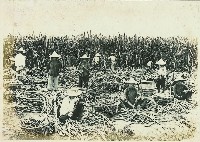 登錄號:KH2003.008.0179藏品圖，第25張