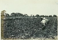 登錄號:KH2003.008.0179藏品圖，第26張