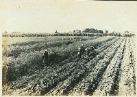 登錄號:KH2003.008.0179藏品圖，第27張