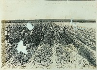 登錄號:KH2003.008.0179藏品圖，第34張