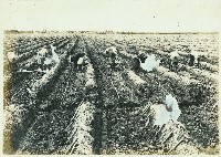 登錄號:KH2003.008.0179藏品圖，第35張