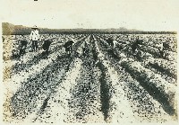 登錄號:KH2003.008.0179藏品圖，第37張