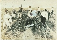 登錄號:KH2003.008.0179藏品圖，第38張