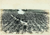 登錄號:KH2003.008.0179藏品圖，第39張