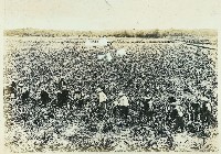 登錄號:KH2003.008.0179藏品圖，第40張