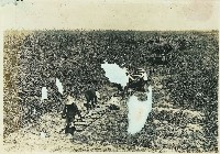 登錄號:KH2003.008.0179藏品圖，第44張