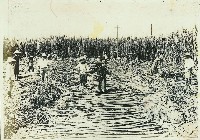 登錄號:KH2003.008.0179藏品圖，第46張