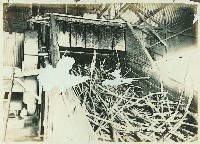 登錄號:KH2003.008.0179藏品圖，第58張