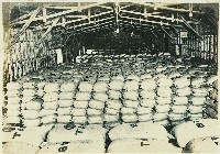 登錄號:KH2003.008.0179藏品圖，第78張