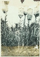 登錄號:KH2003.008.0179藏品圖，第103張