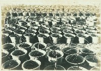 登錄號:KH2003.008.0179藏品圖，第106張